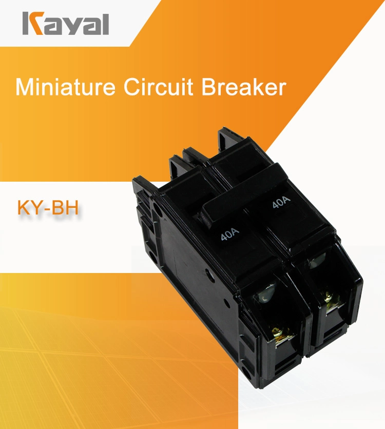 Free Sample! Bh MCB Parts AC Breaker